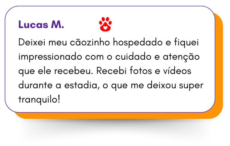 Post retrato para instagram feedback de lanchonete colorido amarelo e roxo (6)